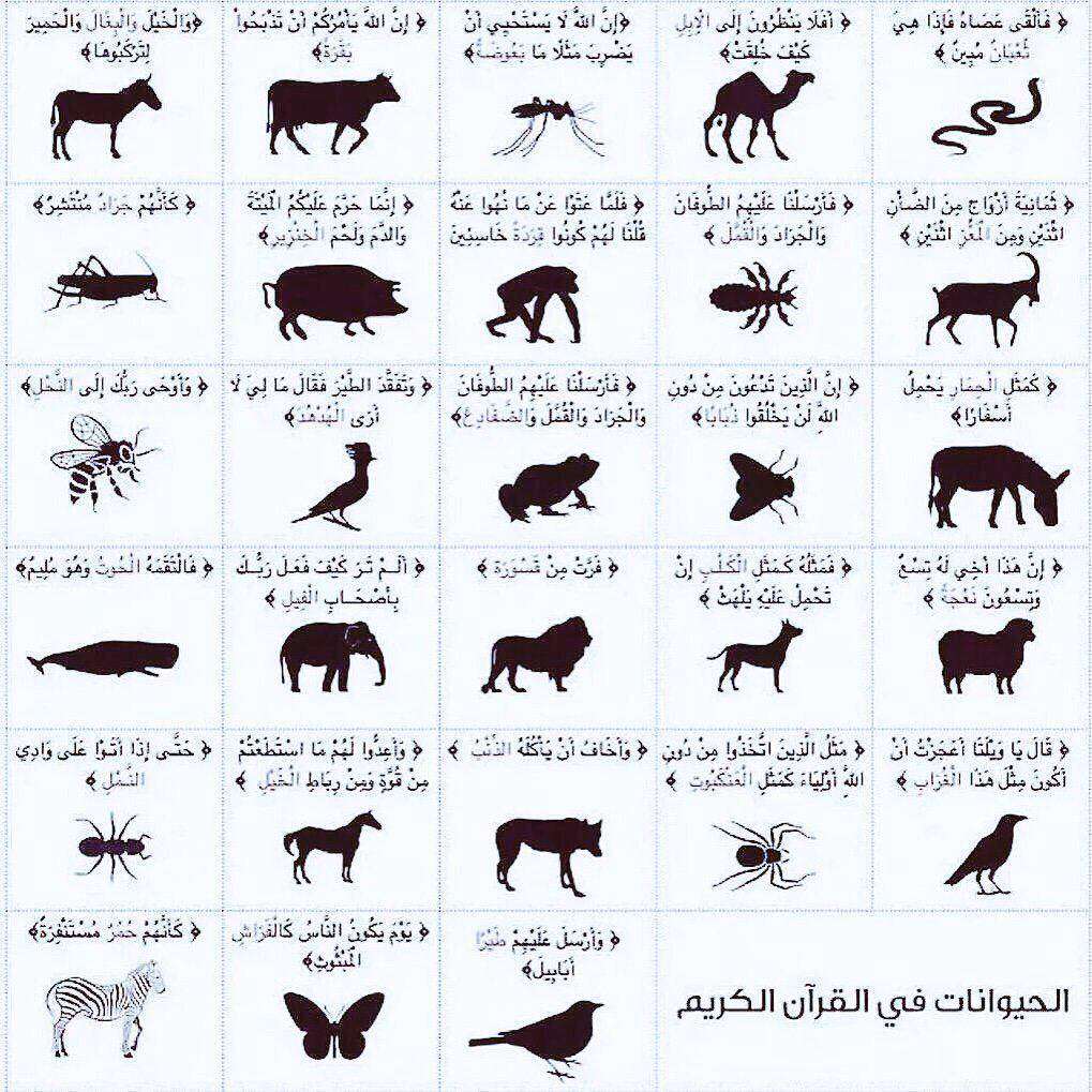 حیواناتی که نامشان در قرآن ذکر شده